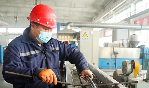 越底層的人越要學英語, 儲殷教授批判血汗工廠, 技工出路在國外